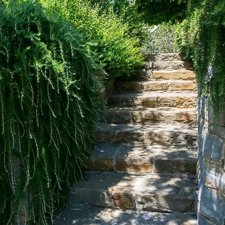 L'abbraccio Della Quercia - * Momjan