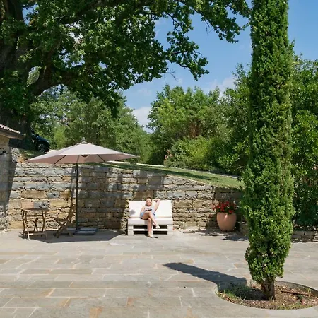 L'abbraccio Della Quercia - *