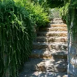 L'abbraccio Della Quercia - * Momjan
