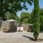 L'abbraccio Della Quercia - *