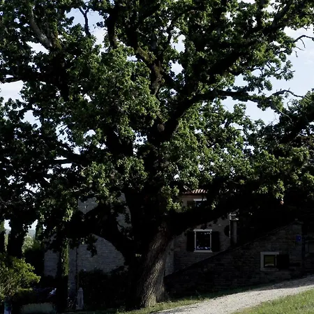 Apartamento L'abbraccio Della Quercia Momjan