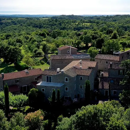 L'abbraccio Della Quercia -