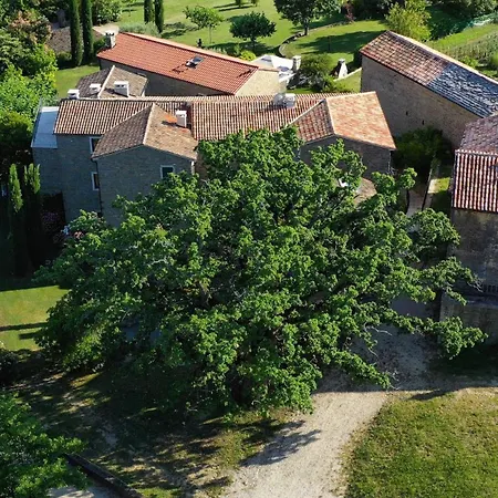 Apartamento L'abbraccio Della Quercia Momjan
