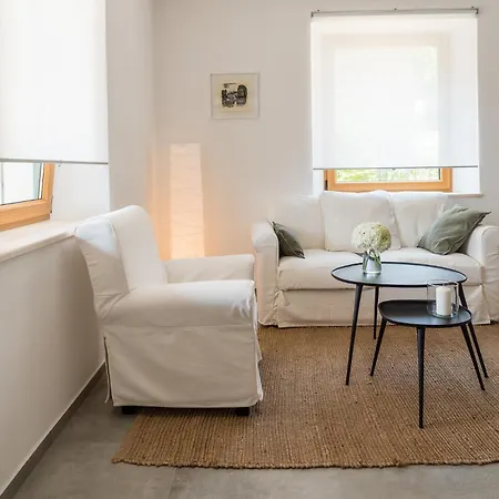 L'abbraccio Della Quercia -