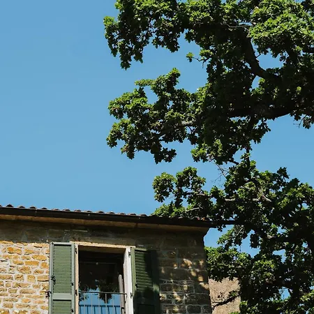 Apartamento L'abbraccio Della Quercia - Momjan