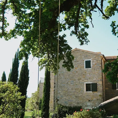 L'abbraccio Della Quercia -