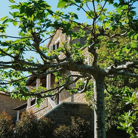 L'abbraccio Della Quercia -
