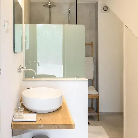 L'abbraccio Della Quercia -